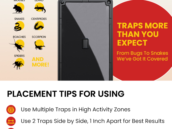 Wowcatch Mouse Glue Traps
