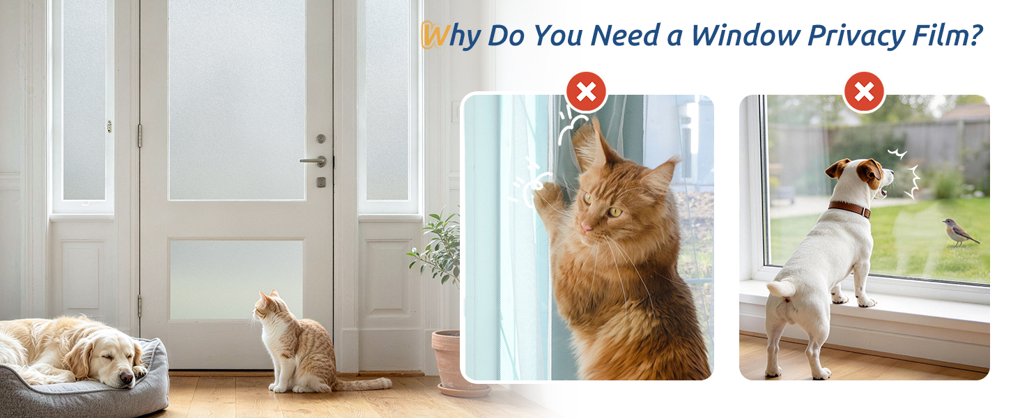 privacy film