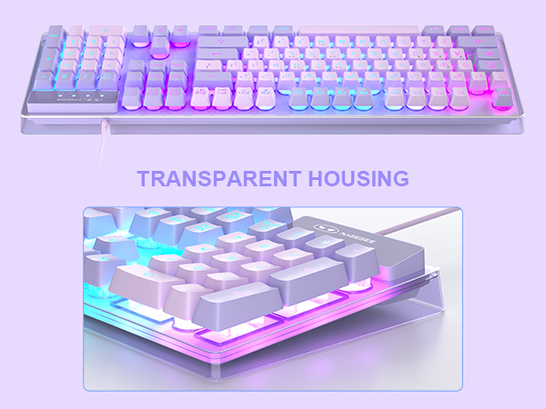 Transparent Housing