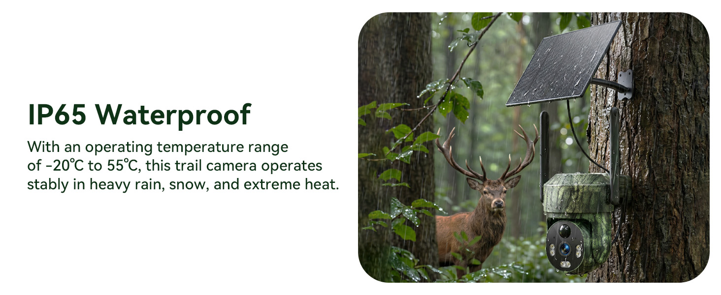 trail camera cellular