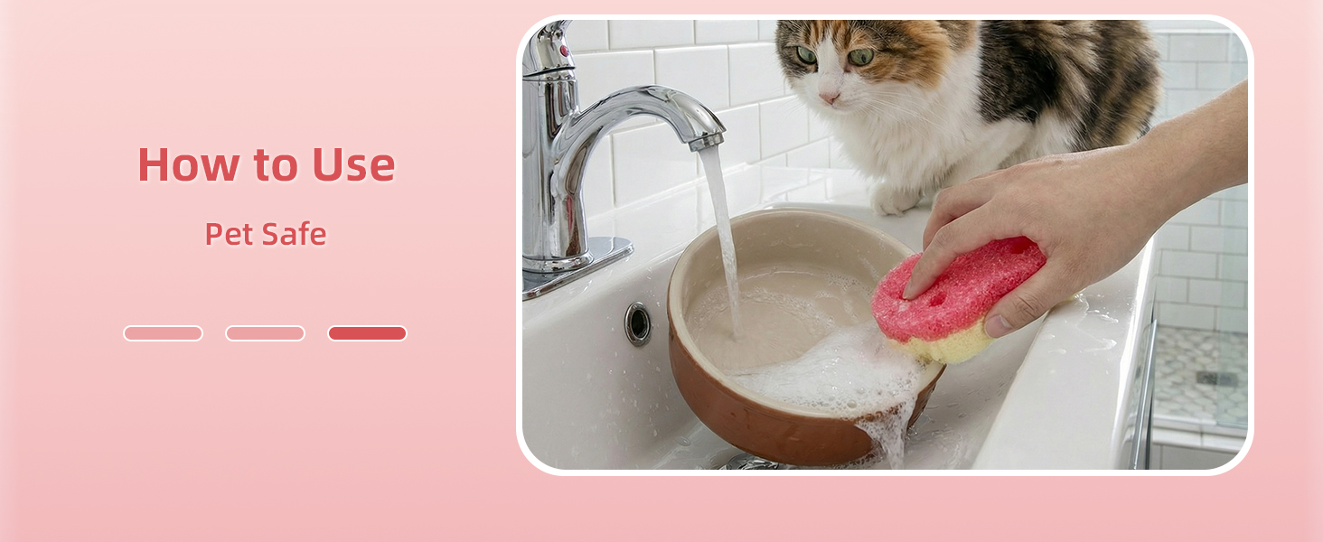 Pet Safe