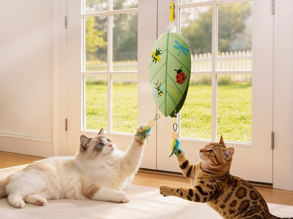 Door Hanging Cat Toy