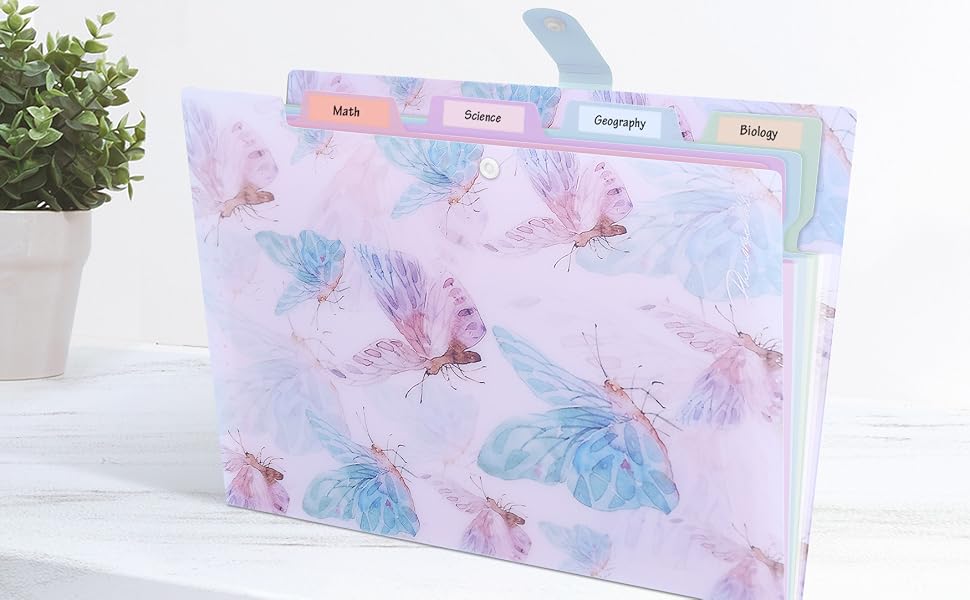 expanding file folder