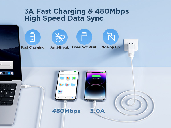 iPhone Charging Cord