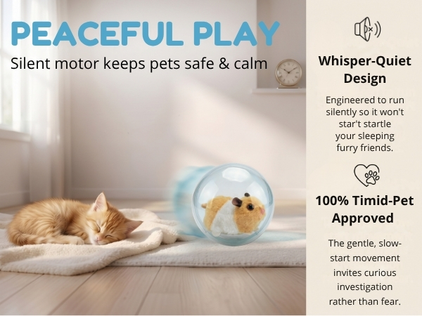 Sleeping kitten next to quiet automatic cat toy; premium interactive cat toys for indoor cats.