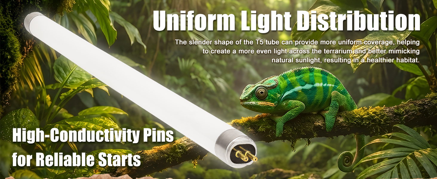 t5 reptile lamp