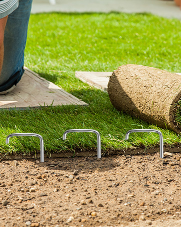 24 Pack Garden Stakes