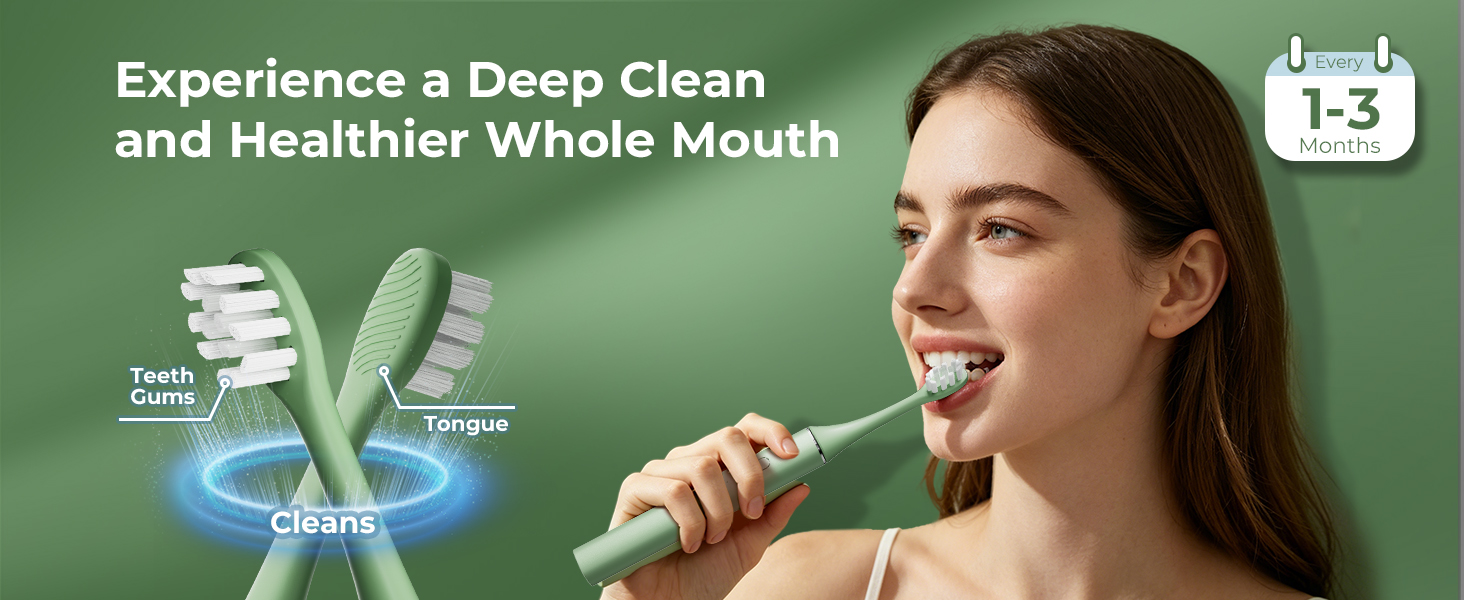 replacement toothbrush heads
