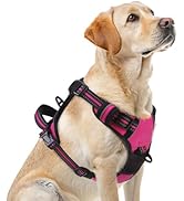 PUPTECK No Pull Dog Harness for Large, Adjustable Reflective Dog Harness with Handle Easy Control...