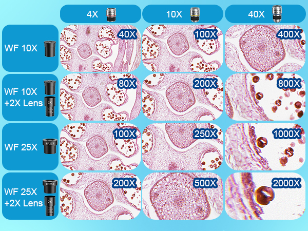 High magnificaiton microscope