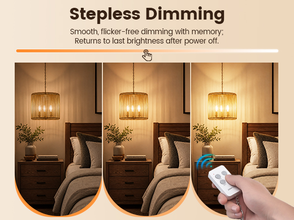 Dimmer Switch Kit with Remote