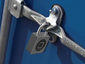 trunk lock