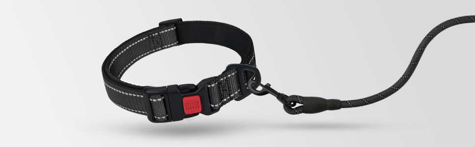 rope dog leash