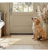 MatEssenz Indoor Doormat for Entryway, 17"x29.5" Non Slip Door Mat Indoor Entrance, Absorbent Qui...