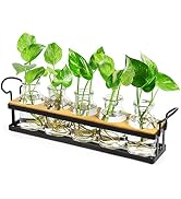 THYGIFTREE Plant Propagation Stations with Metal Stand, Tabletop Plant Terrarium for Propagating ...