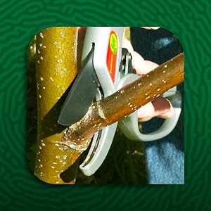 pruners, ratchet pruners, pruning shears,
