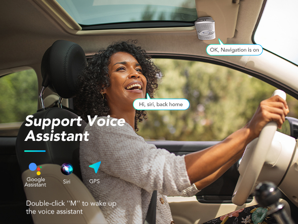Voice Assistant