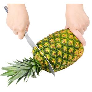 pineapple slicer