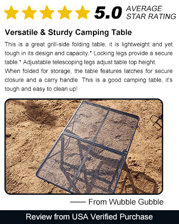 Portable Picnic Table