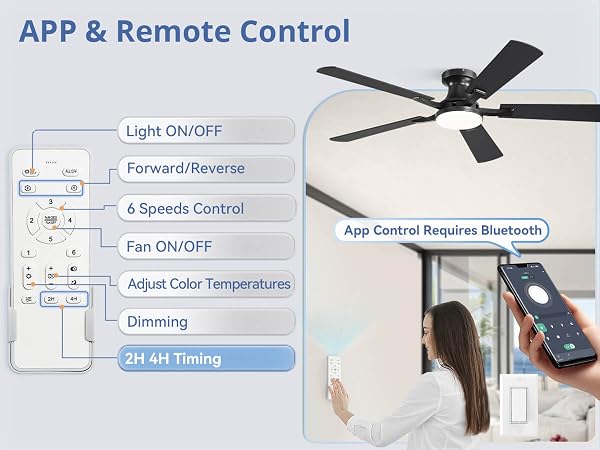 ceiling fan