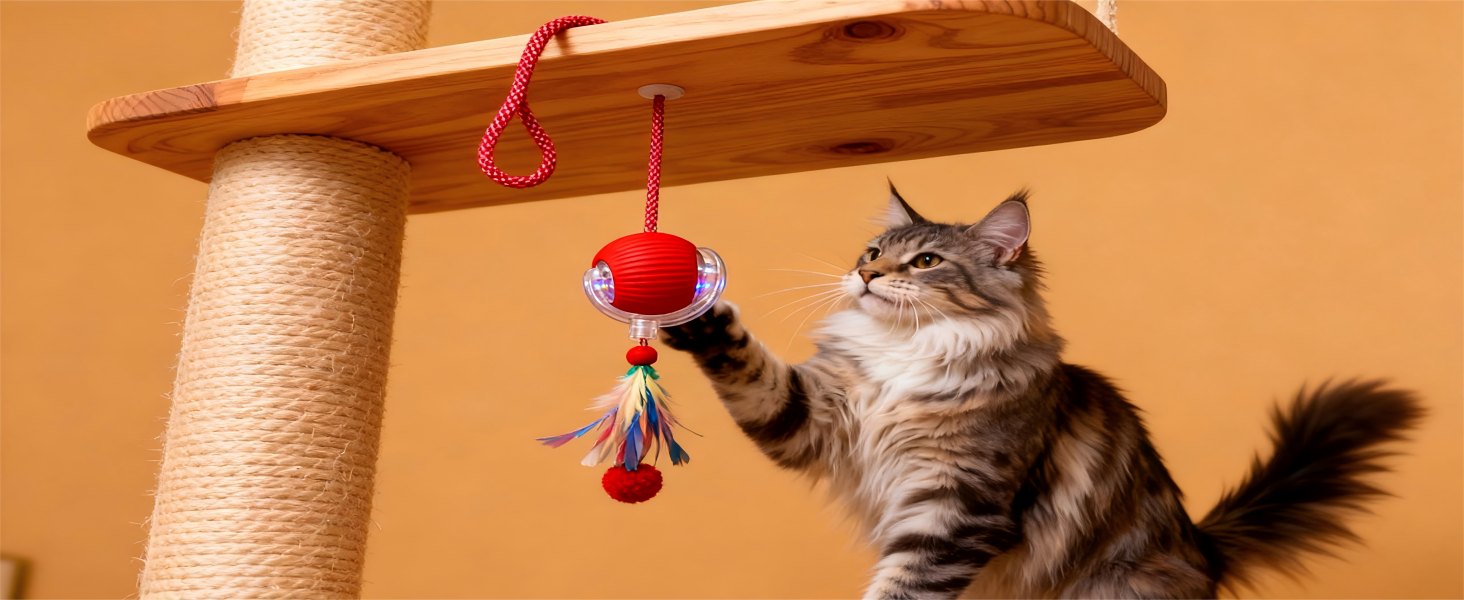 Interactive Cat Ball Relieves Cat Boredom and Anxiety