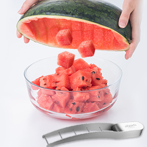watermelon cube cutter