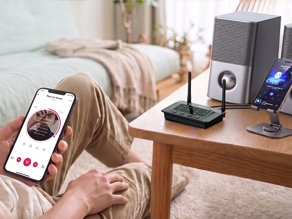 dual Bluetooth receiver