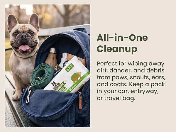 All-in-one Cleanup