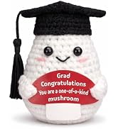 Handmade Crochet Mushroom Decorative Ornament Gift (grad)