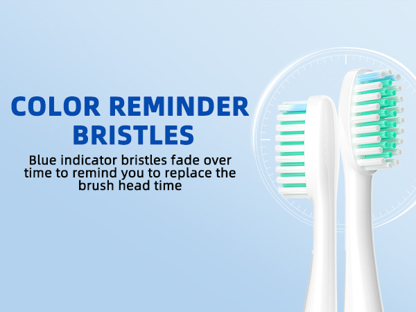 SEIGA Sonic Electric Toothbrush for Adults_11