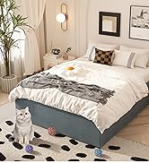 Maenizi 18 Inch Full Size Bed Frame with Skirt, Heavy Duty Metal Bed Frame Full, No Box Spring Ne...