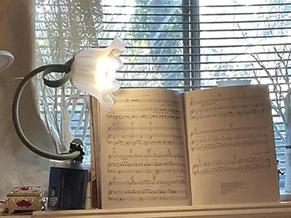 flower book clip on light