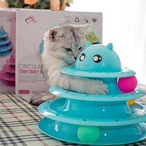 cat toy
