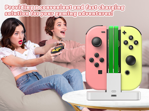 switch pro controller charger