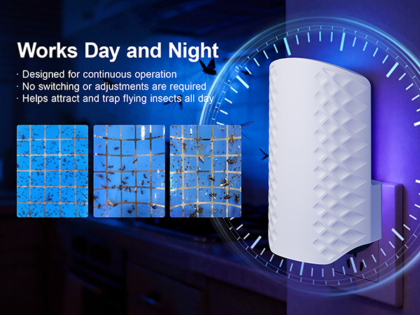 flying insect traps