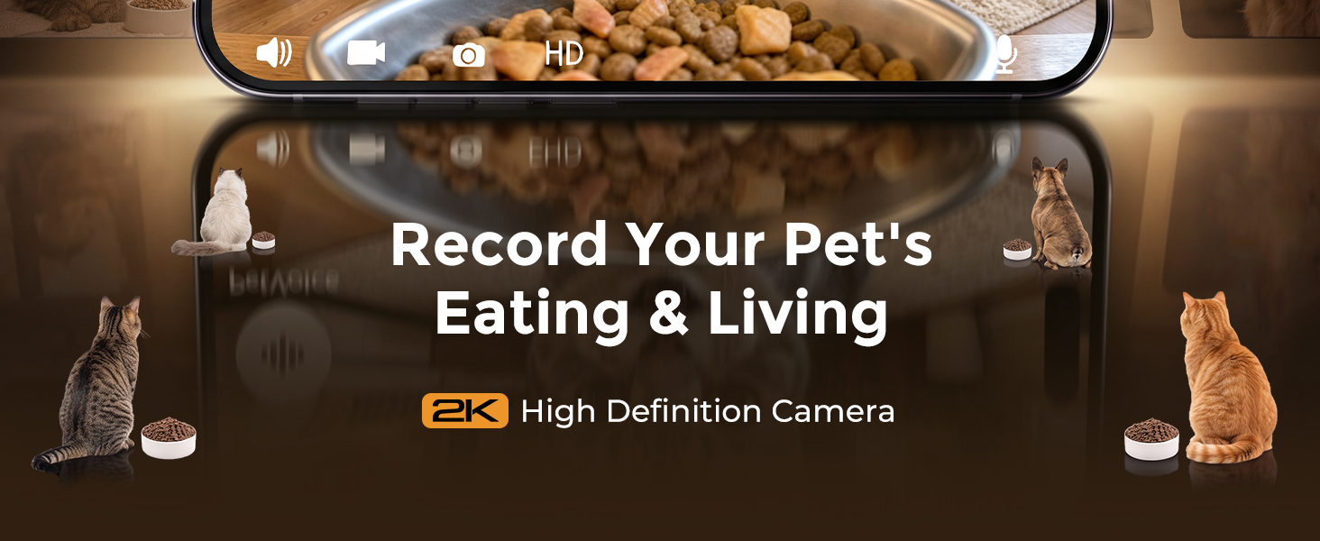 pet feeder with camera