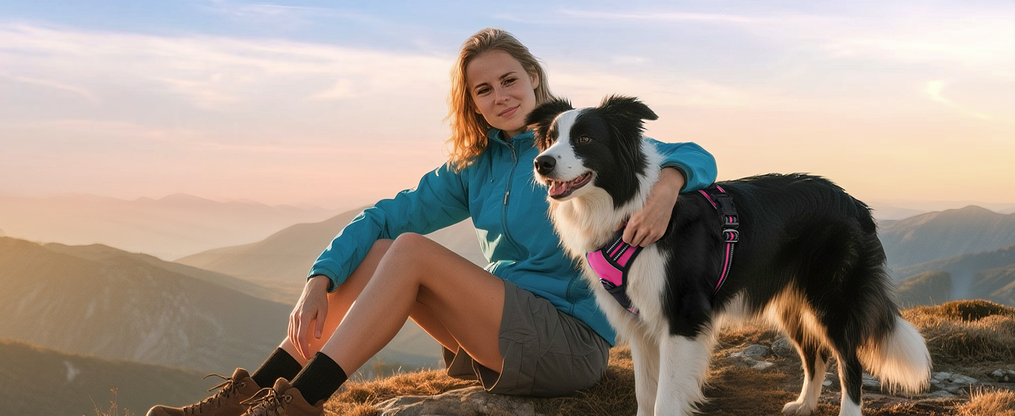 Classic dog harness