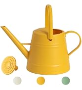 1 Gallon Watering Can Outdoor, Plastic Water Can for Plants with Comfort Grip Handle, Detachable ...