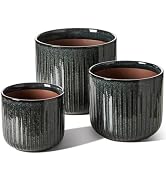 LE TAUCI Ceramic Pots for Plants, 8.3/7/6 Inch Indoor Planters with Drainage Holes & Mesh, Modern...