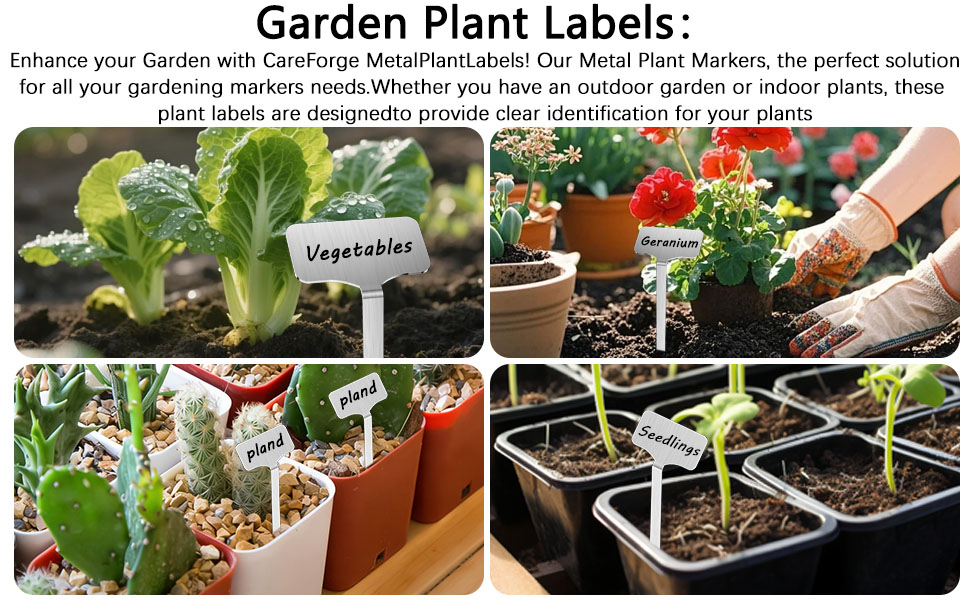 Garden Plant Labels