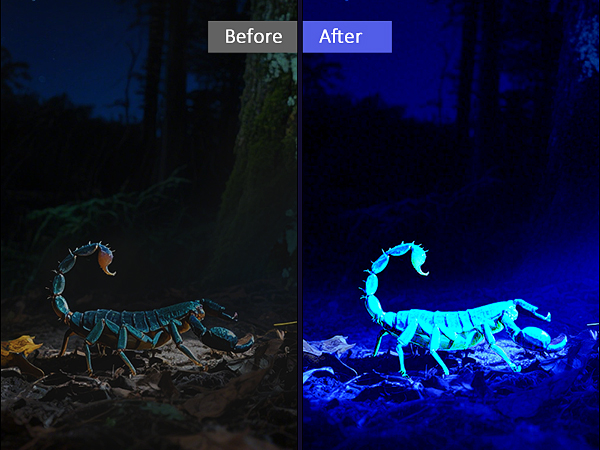 uv lights