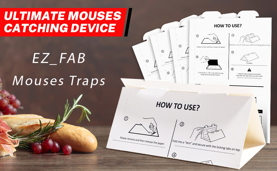 Mouses Traps