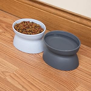 cat bowl