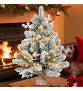 RIDGEPOLE 2FT Pre-lit Mini Christmas Snow Flocked Tree,Tabletop Artificial Christmas Tree with LE...