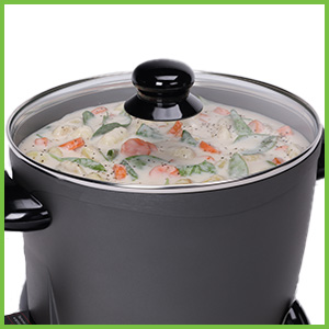 Count Tempered glass cover lets you see food as it cooks.