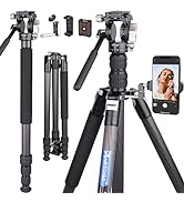 Carbon Fiber Tripod with Mini 2 Way Video Tripod Head 76.4inch/194cm Tall Lightweight Travel Came...