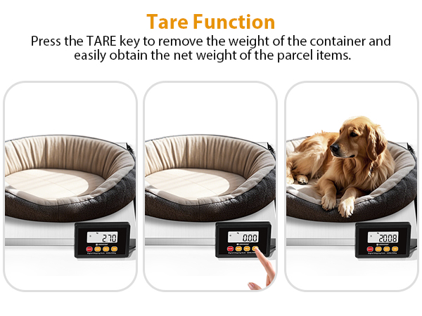 package scale