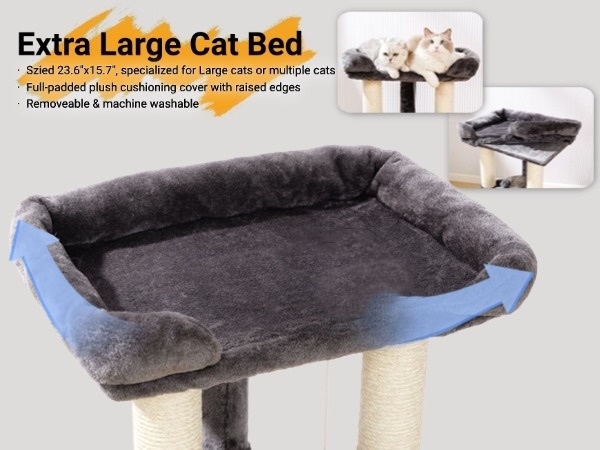 cat perch