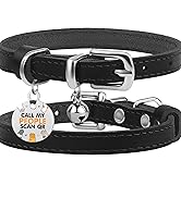 dog collar