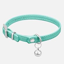 a collar